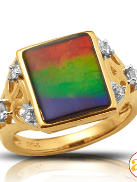 14KY 0.20CTW DIAMOND RING WITH 3.43CT AMMOLITE